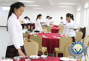 榆林旅游、酒店與職業教育深度解析 從能源化工到旅游管理，再到電商咨詢